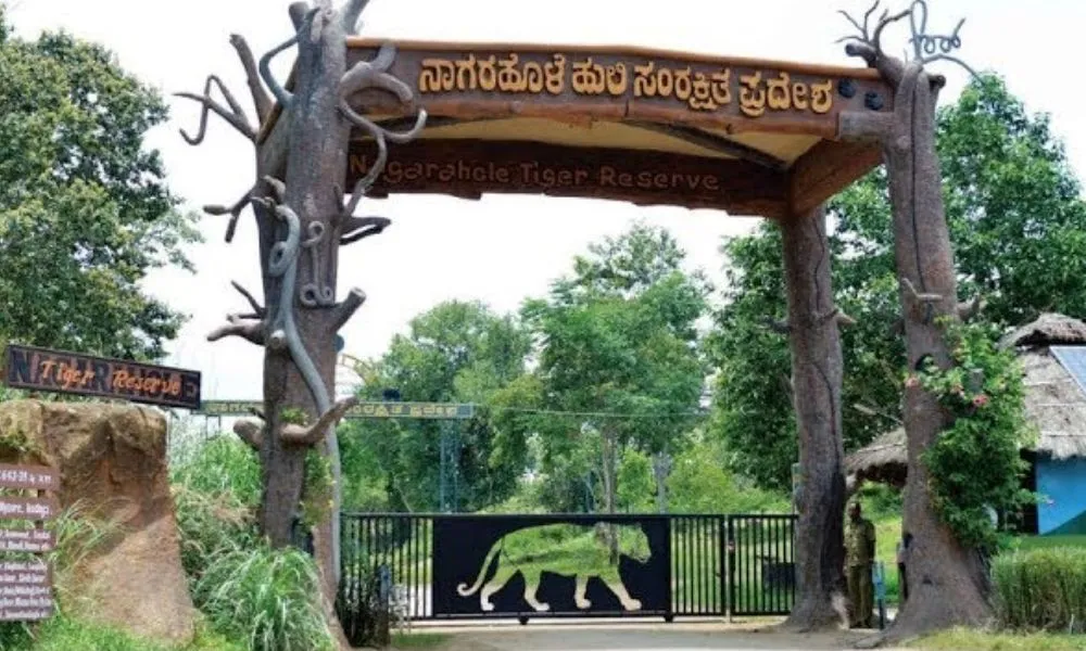 Nagarhole National Park, Karnataka