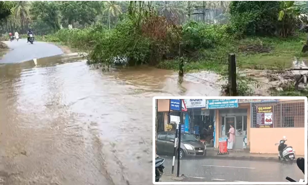 Karnataka Weather Forecast Rain alert