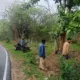 Road Accident in Anekal