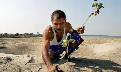 The Forest Man Of India
