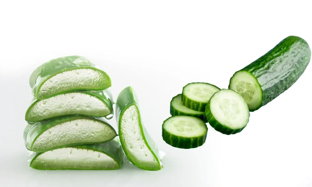 aloe vera cucumber