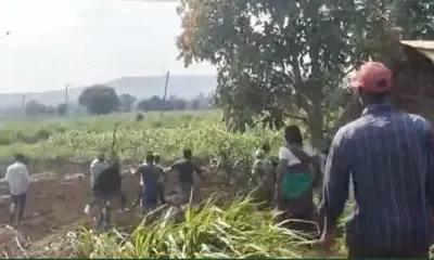 Family Fighting in Belgavi