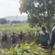 Family Fighting in Belgavi