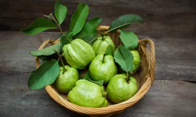 Benefits Of Eating Guava