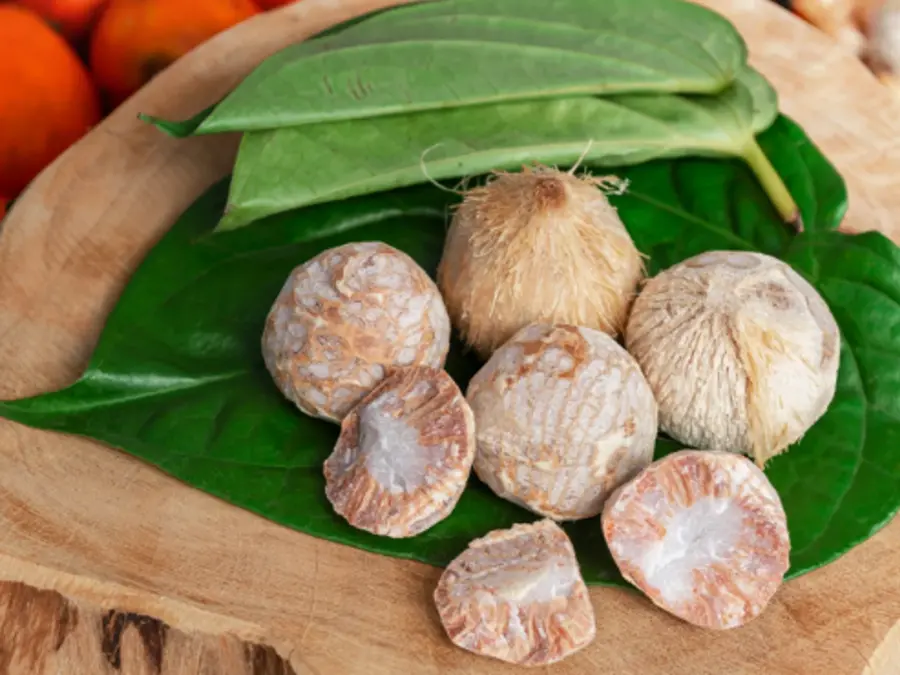 Betel leaves health benefits