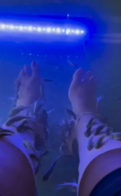 Fish Spa awareness