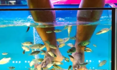 Fish Spa awareness