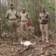 Hunters Arrest