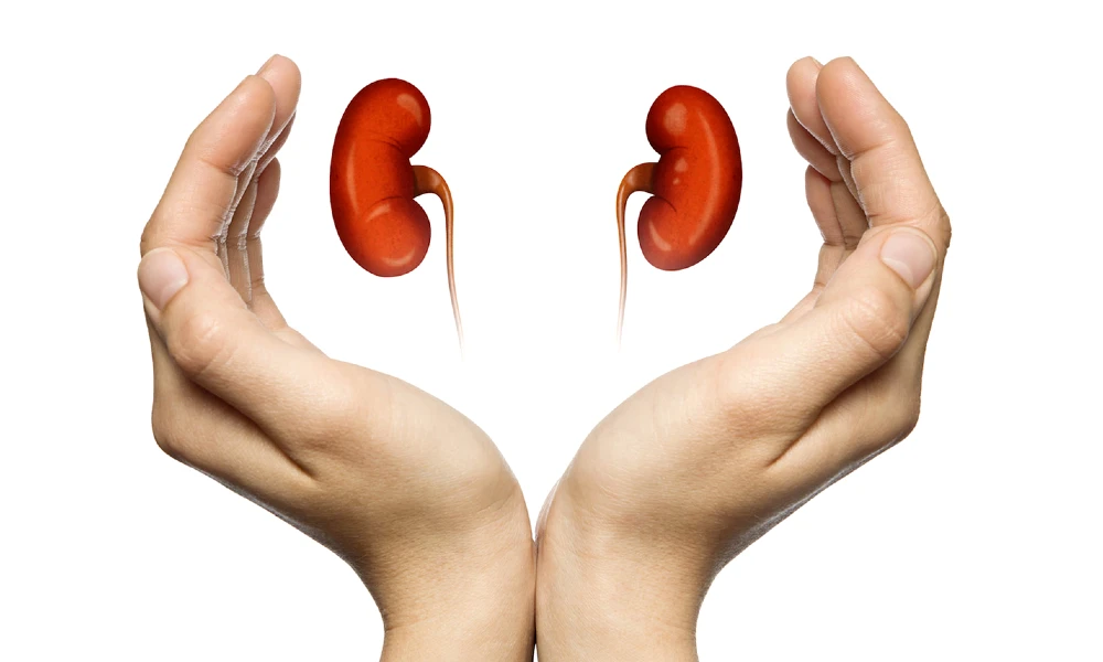 a successful kidney transplanted for 32 year old woman at Fortis Hospital