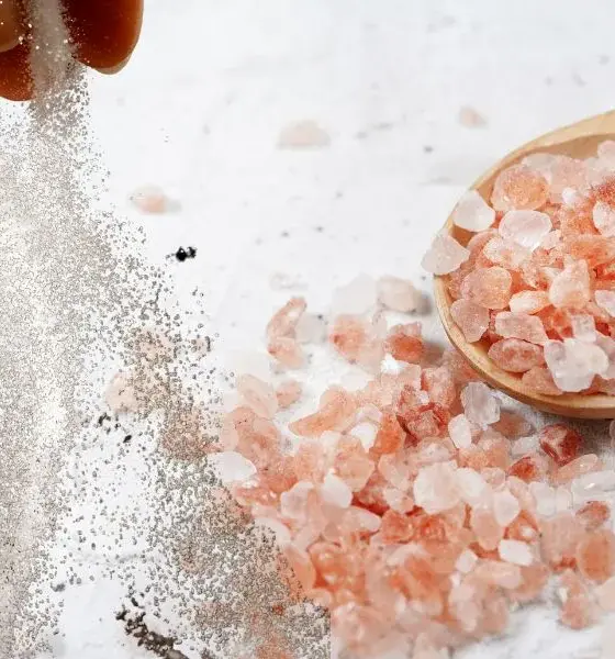 Rock Salt Or Powder Salt