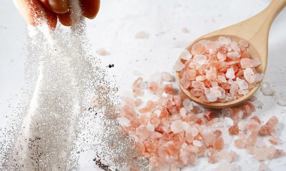 Rock Salt Or Powder Salt