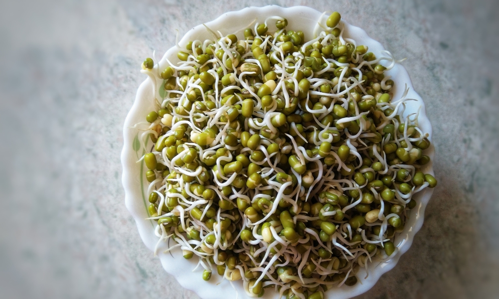 Sprouted moong, mung or green gram