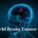 World Brain Tumor Day