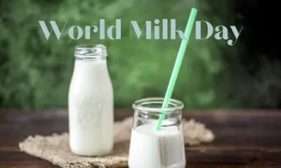 World Milk Day