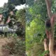 road accident gauribidanuru