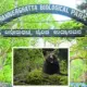 Bear attack staff during Bannerghatta safari