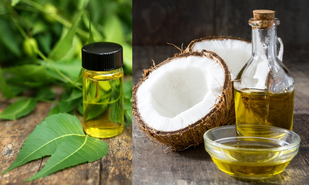 Coconut oil and bitter neem oil