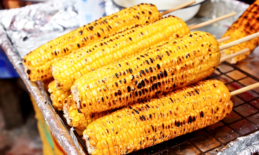 Cooked Corn Cobs 