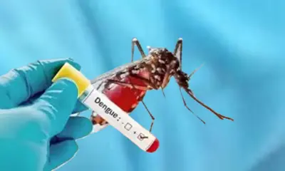Dengue Cases in Hassan