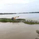 Kampli Gangavathi link bridge inundation fear