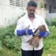 Koppala News Snake Puttu showed humanity by treating and caring for an injured vulture