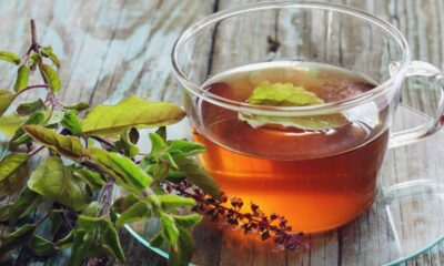 Tulsi Tea Benefits