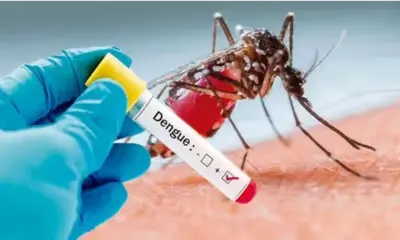 dengue fever death bangalore