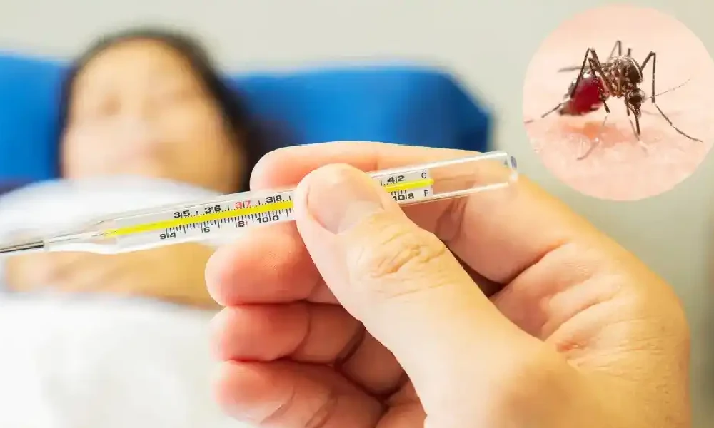 Dengue In Pregnancy
