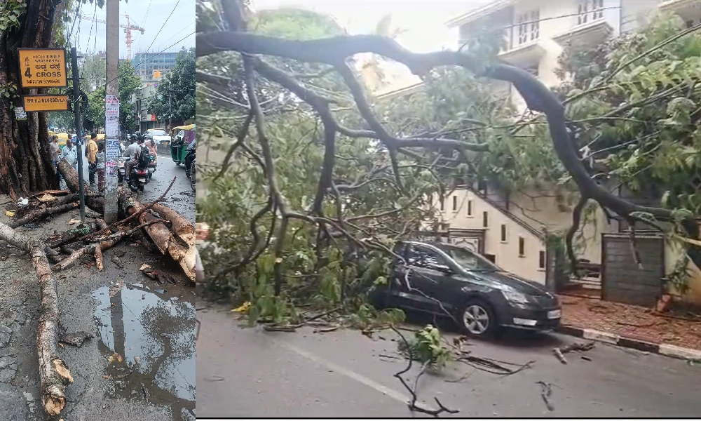 Bengaluru rain