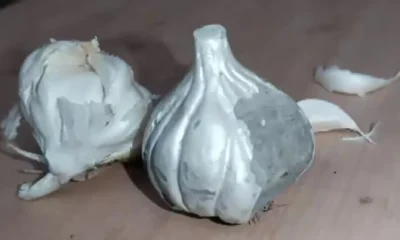 Fake Garlic