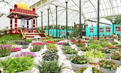 Lalbagh Flower Show