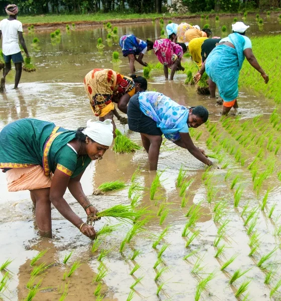 PM Kisan Samman Nidhi