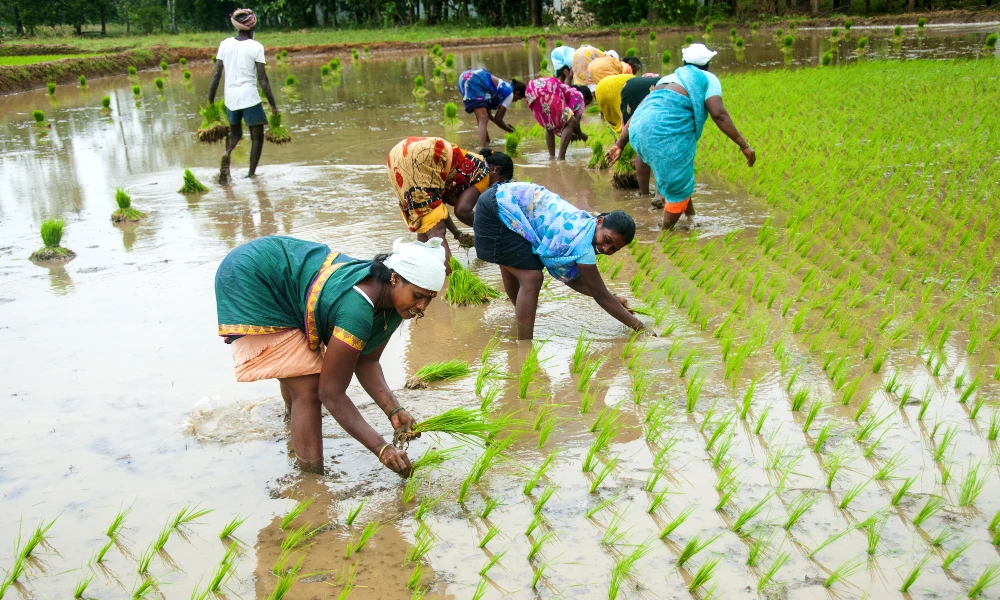 PM Kisan Samman Nidhi