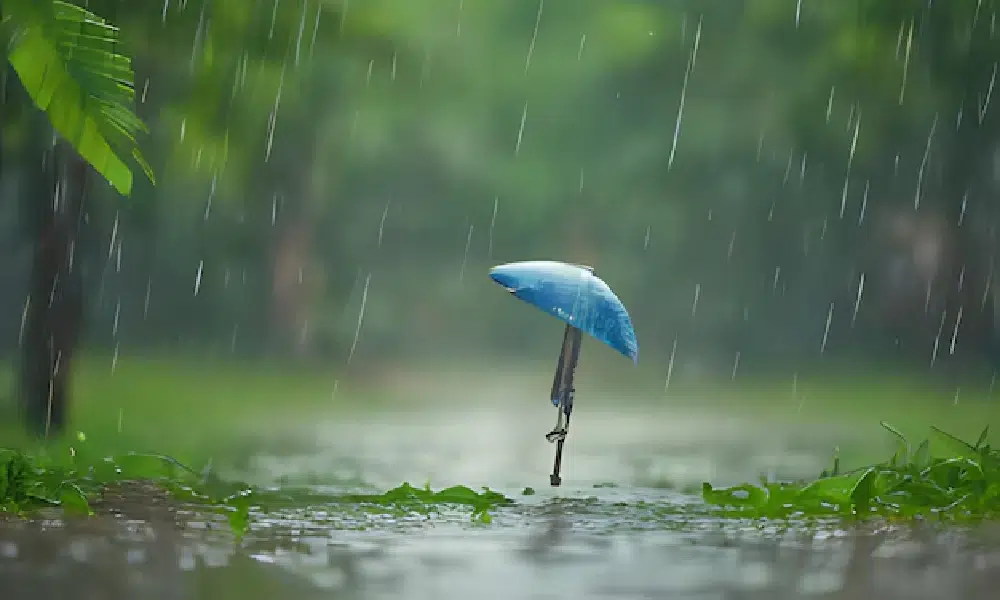 Karnataka Weather Forecast