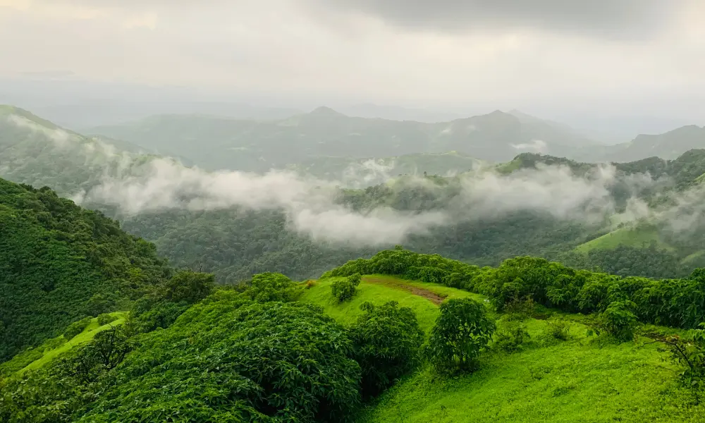 ವಿಸ್ತಾರ ಗ್ರಾಮ ದನಿ