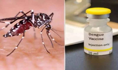 Dengue Vaccine