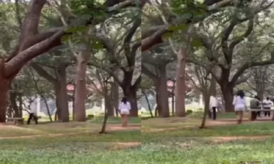 viral video cubbon park