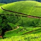 Ooty Tour