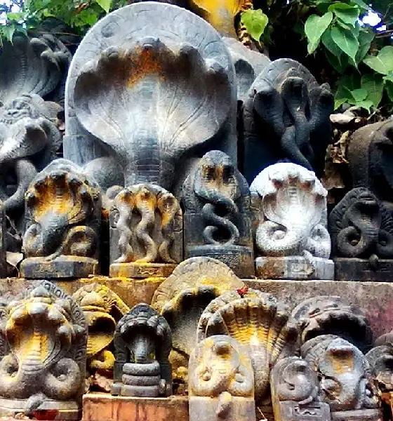 ರಾಜಮಾರ್ಗ ಅಂಕಣ nagara panchami