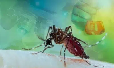 Dengue is now an epidemic