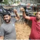 Youth immerse Ganesh with 65 grams of gold chain