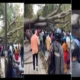 Several injured as tree falls on them in Bengaluru