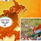 Congress alliance wins in Kashmir Haryana poll survey Calculations turned upside down