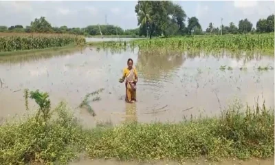 karnataka Rain