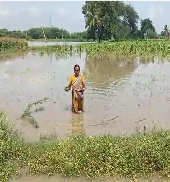 karnataka Rain