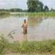 karnataka Rain