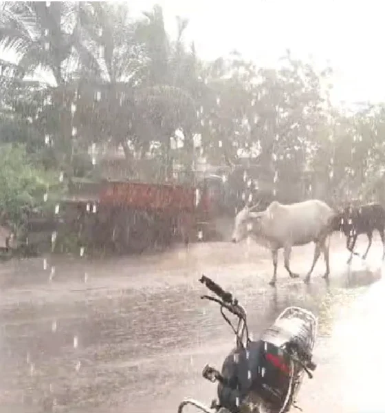 Karnataka Weather Forecast