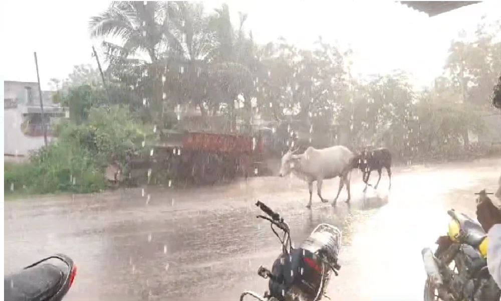 Karnataka Weather Forecast