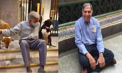 Ratan Tata missed england's royal honour to take care of sick dogs