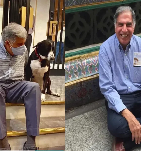 Ratan Tata missed england's royal honour to take care of sick dogs